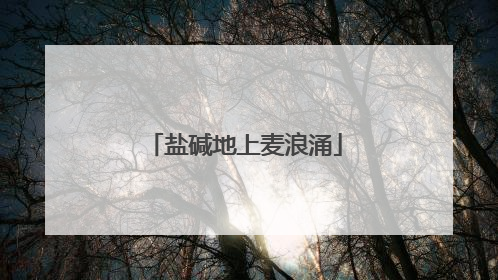 盐碱地上麦浪涌